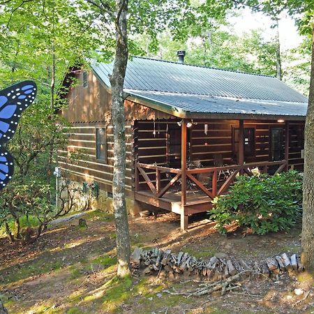 Laurel Creek- Blue Ridge Βίλα Εξωτερικό φωτογραφία