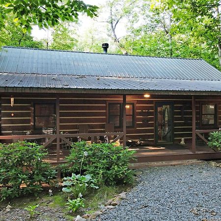 Laurel Creek- Blue Ridge Βίλα Εξωτερικό φωτογραφία