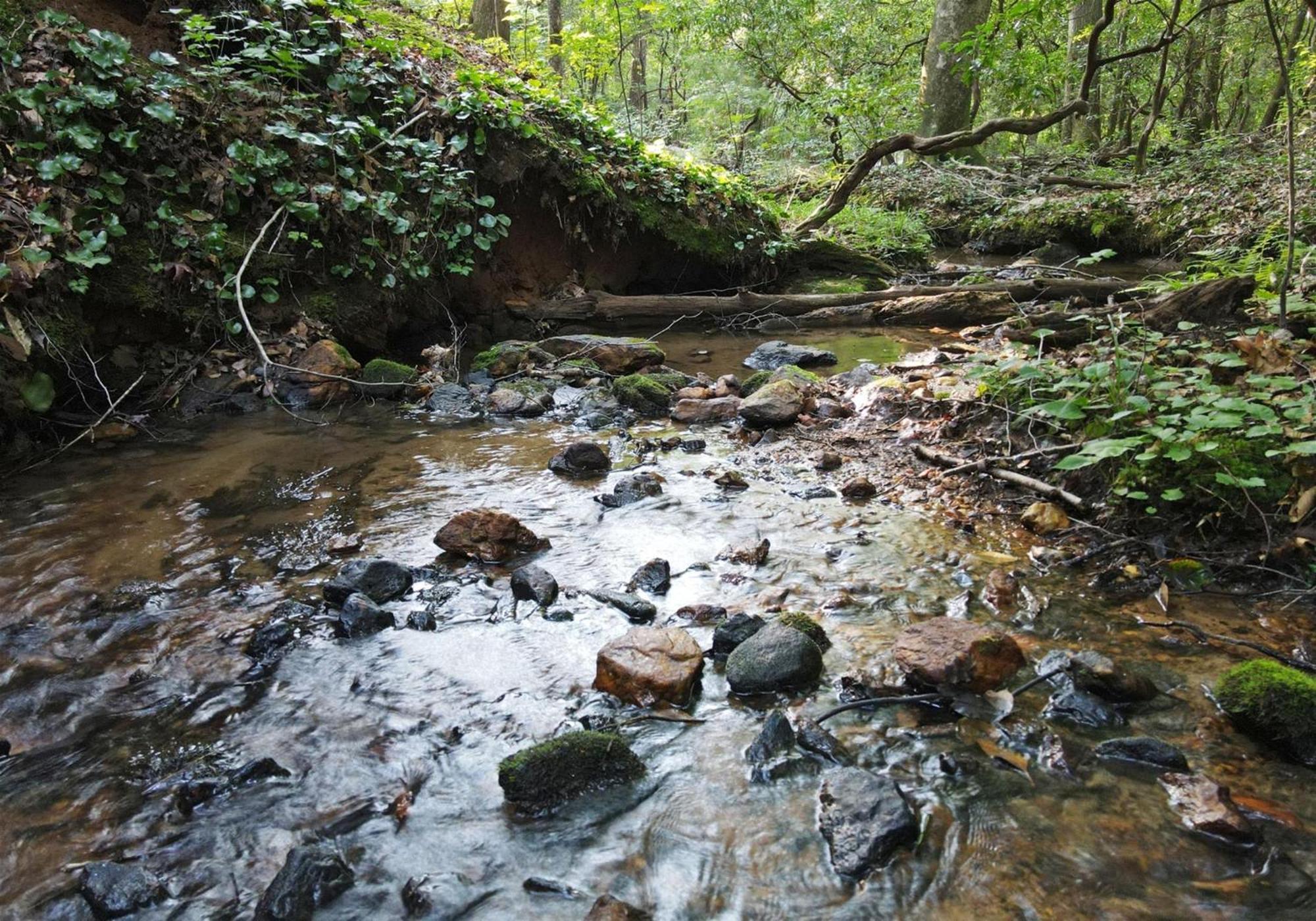 Laurel Creek- Blue Ridge Βίλα Εξωτερικό φωτογραφία